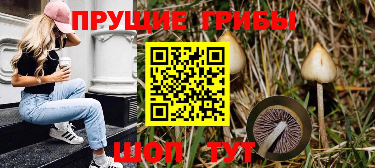 Галлюциногенные грибы мухоморы Белая Калитва