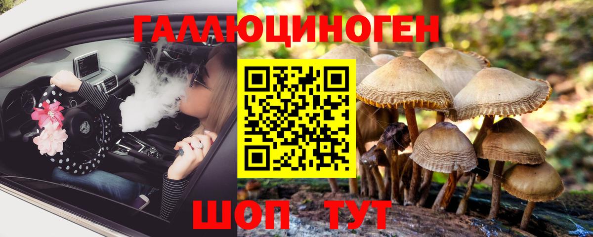 Белая Калитва  Псилоцибиновые грибы Magic Shrooms  что такое наркотик  Вход с VPN  Псилоцибиновые грибы Psilocybe 